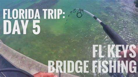 best fishing in keys bridge.